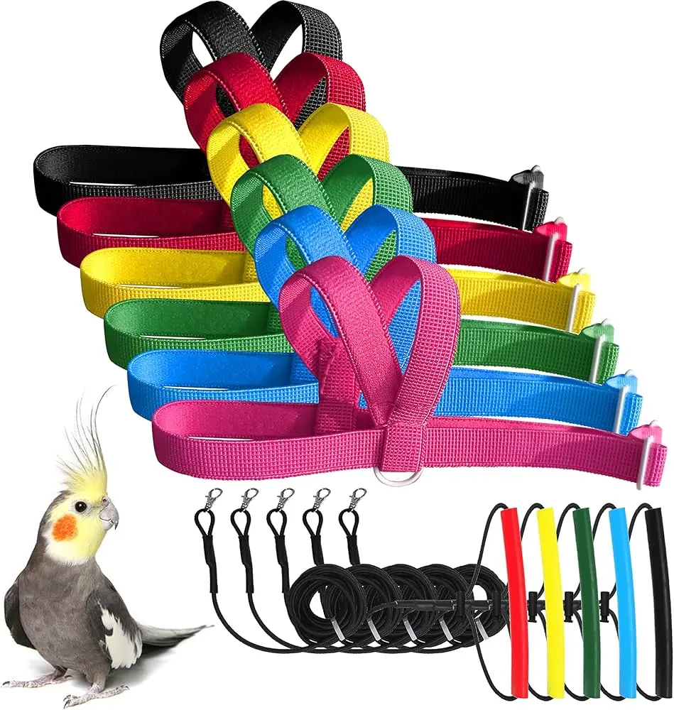 VANFAVORI Bird Harness (Black)