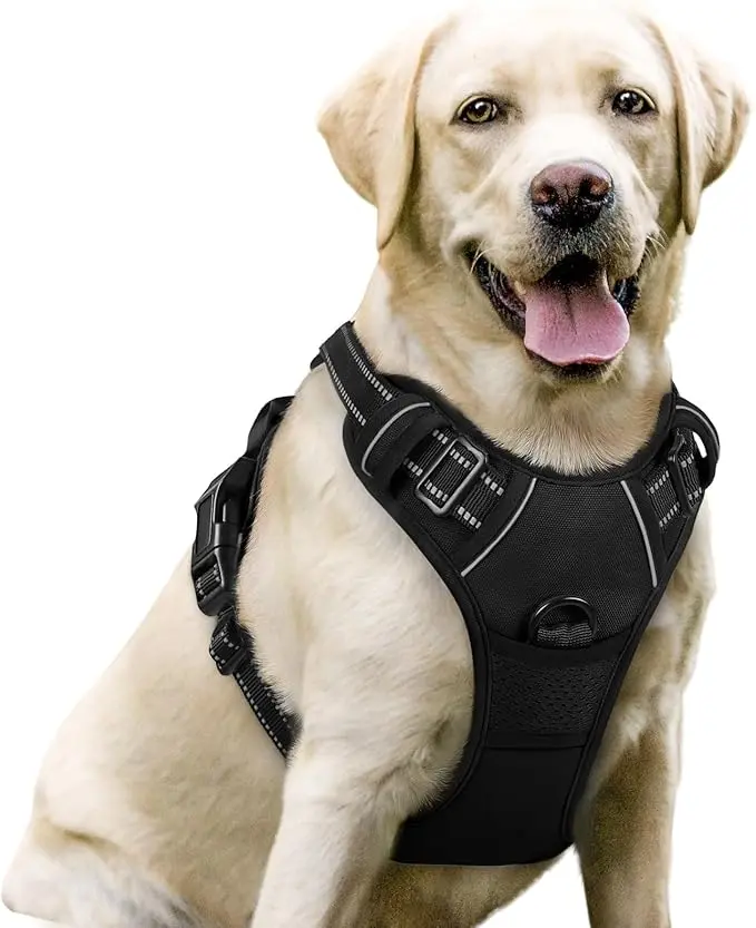 rabbitgoo Dog Harness, Black L
