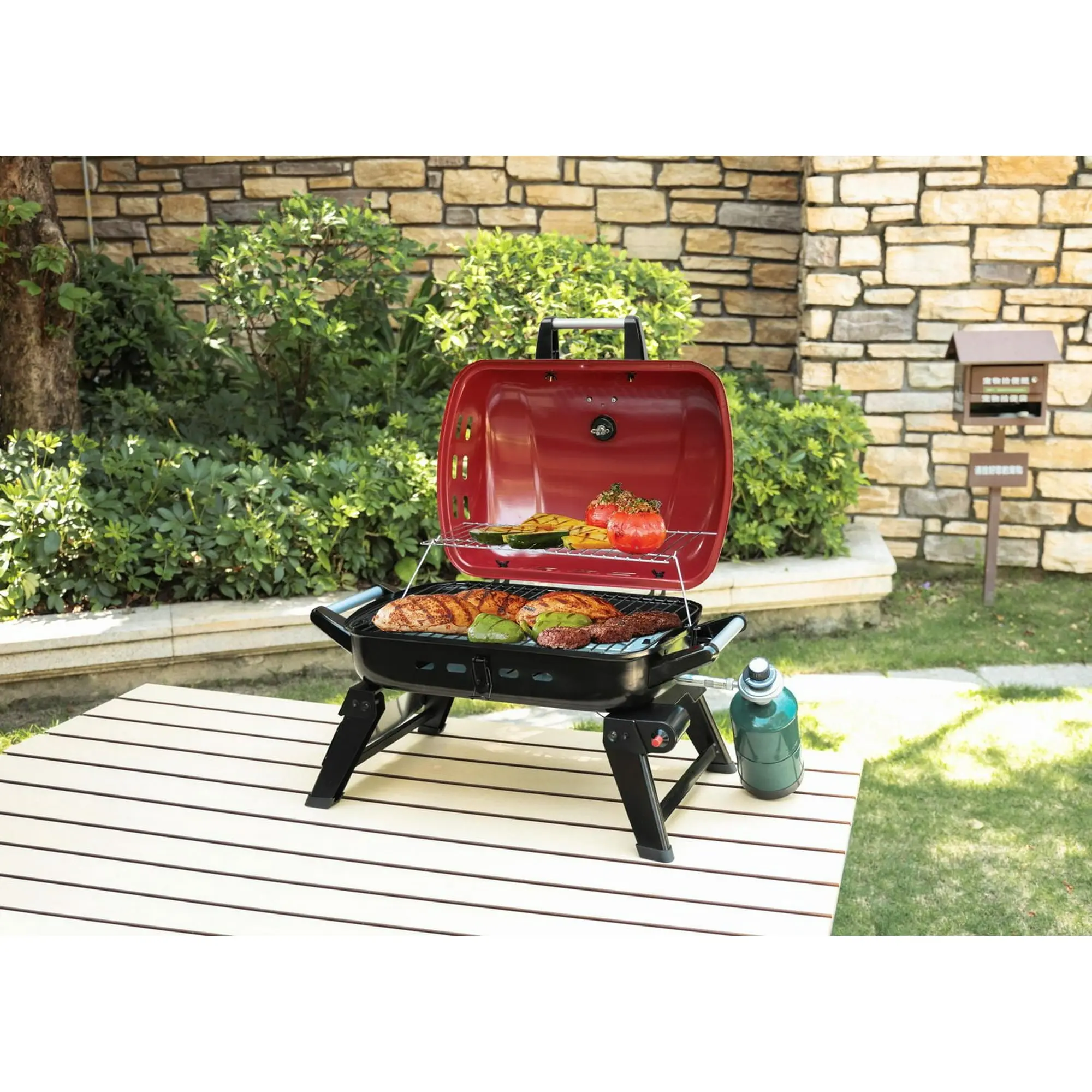 Expert Grill Portable Gas Grill